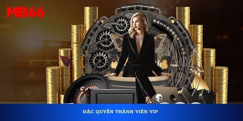 Đặc quyền thành viên Vip
