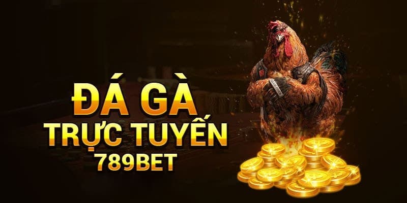789bet - Kê trường hot nhất năm 2024