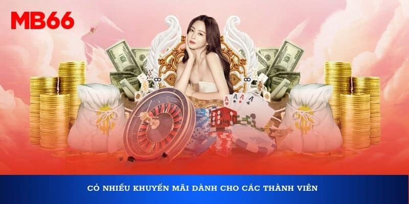 Có nhiều khuyến mãi dành cho các thành viên