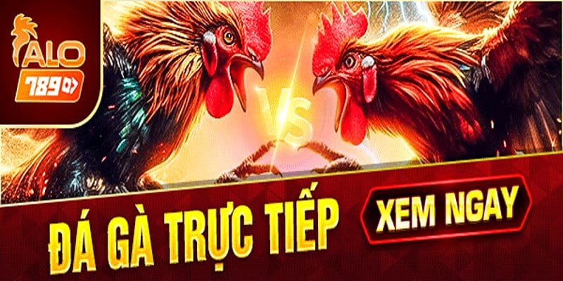 Những yếu tố tạo nên thành công cho thương hiệu Alo789